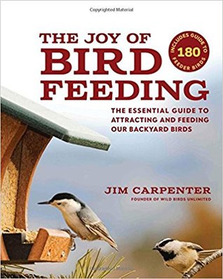 The Joy Of Bird Feeding