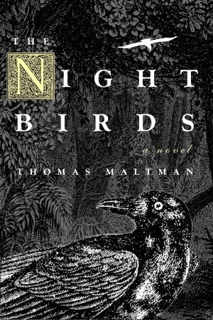 The Night Birds Cover